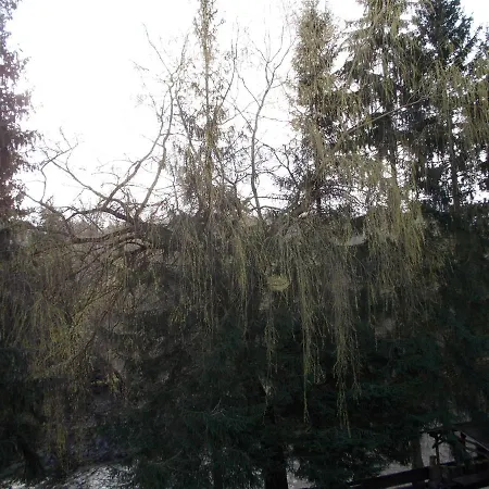 Laura Habitación en casa particular